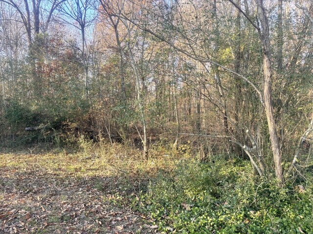 0 Mount Herman Rd, Southside, TN 37171 - photo 3
