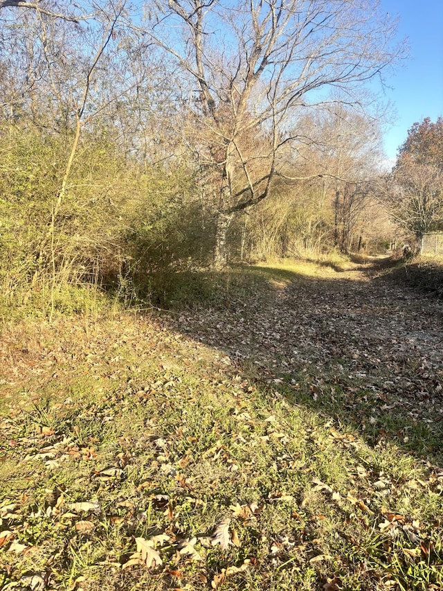 0 Mount Herman Rd, Southside, TN 37171 - photo 2