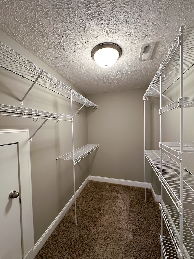 walk in closet featuring carpet floors