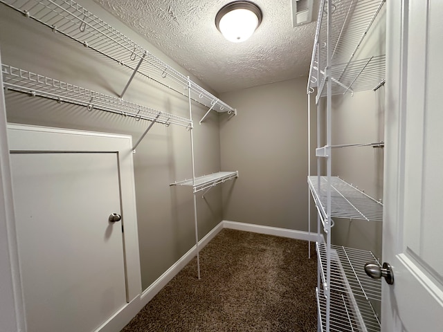 walk in closet featuring carpet flooring