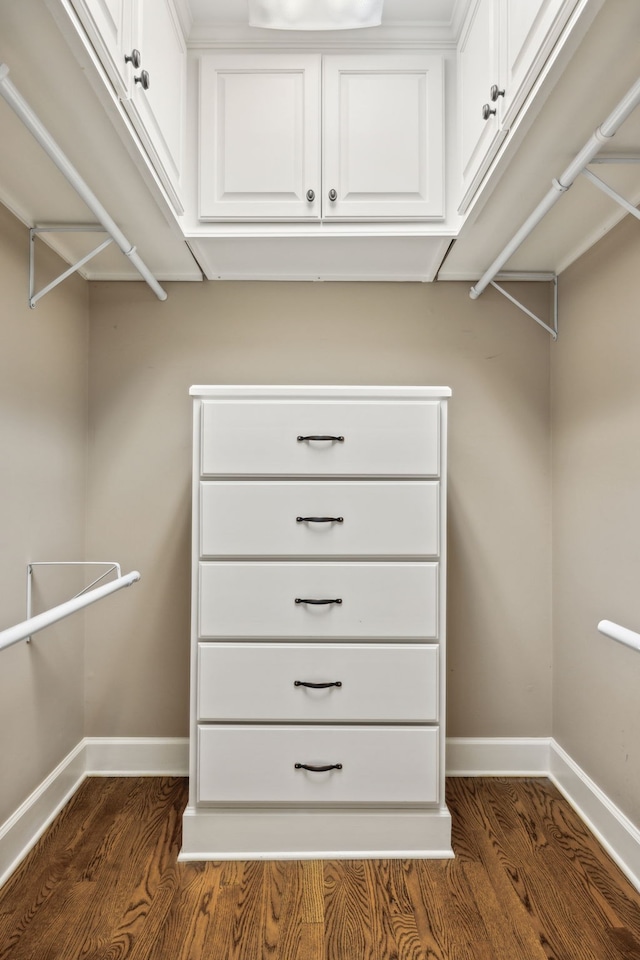 walk in closet featuring dark hardwood / wood-style flooring