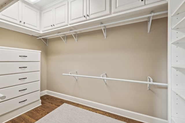 spacious closet featuring dark wood-type flooring