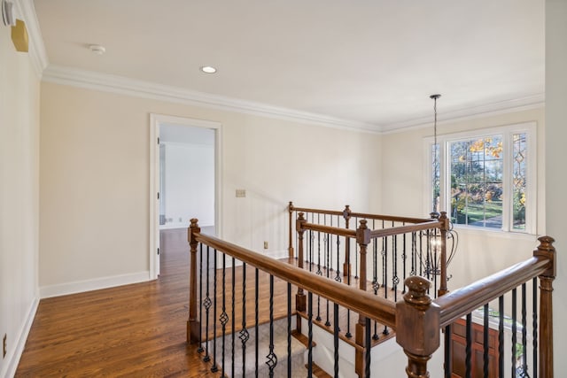 hallway featuring dark hardwood / wood-style flooring and ornamental molding