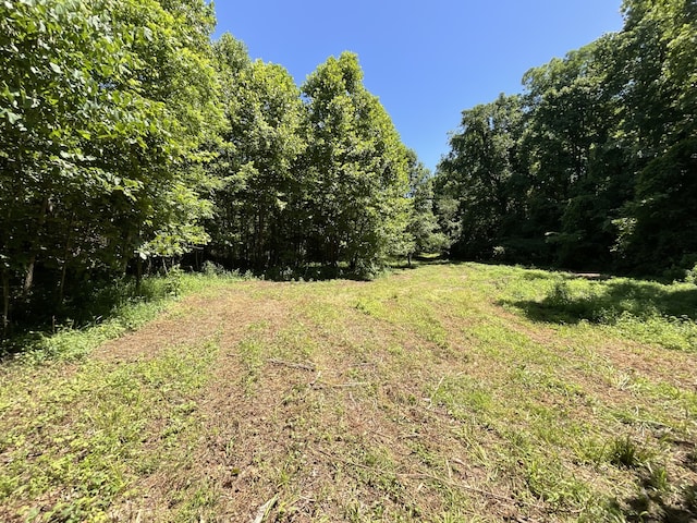 1 Herman Adams Rd, Cumberland City TN, 37050 land for sale