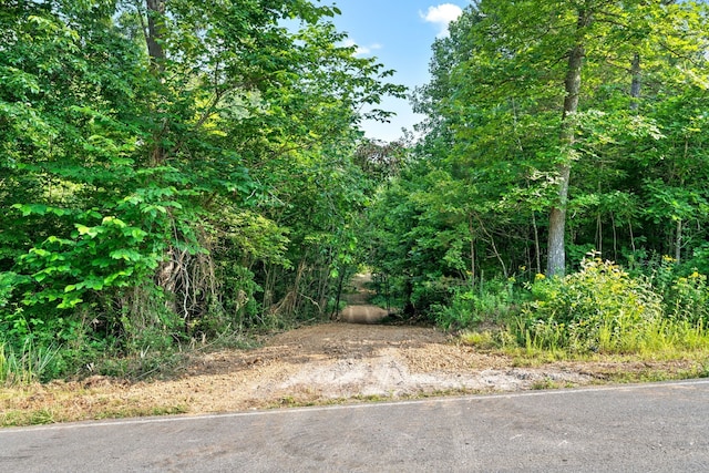 Listing photo 3 for 1 Herman Adams Rd, Cumberland City TN 37050