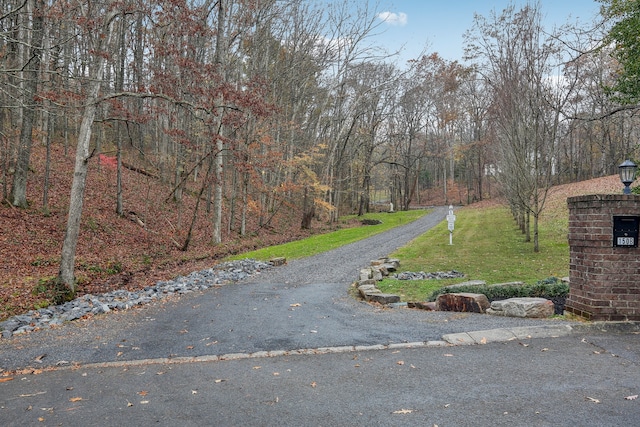 view of road