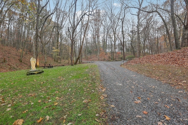 view of road