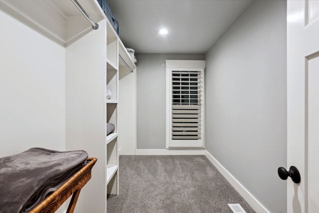 walk in closet with light colored carpet