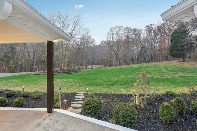 view of yard featuring a patio area