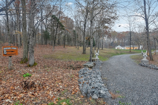 view of road