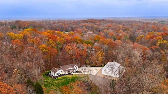 bird's eye view