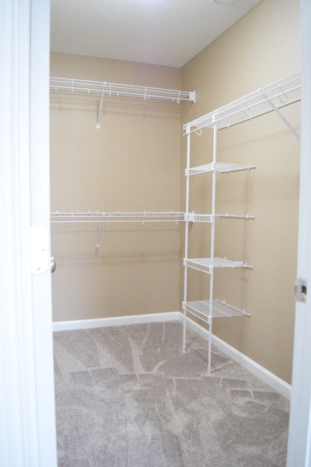 spacious closet featuring carpet