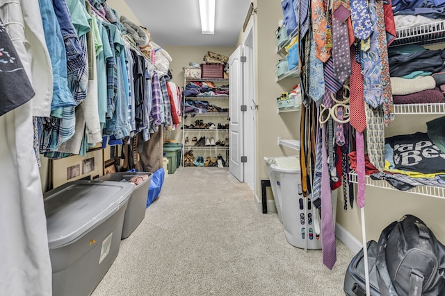 spacious closet featuring carpet flooring