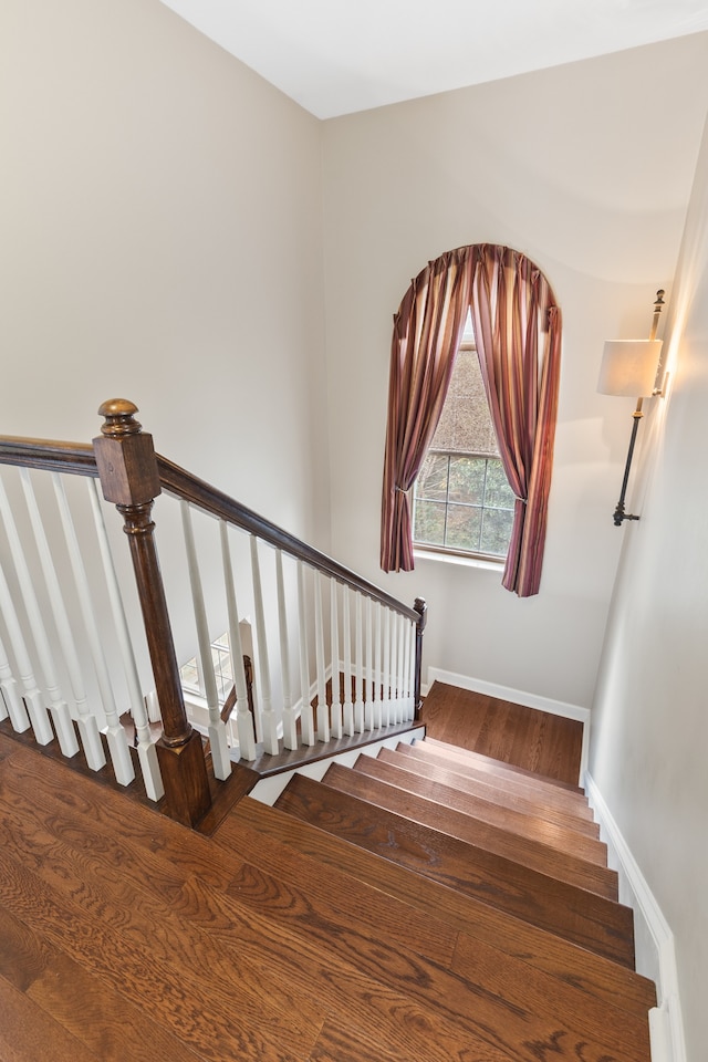 stairs with hardwood / wood-style flooring