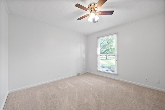 carpeted spare room with ceiling fan, crown molding, and a textured ceiling