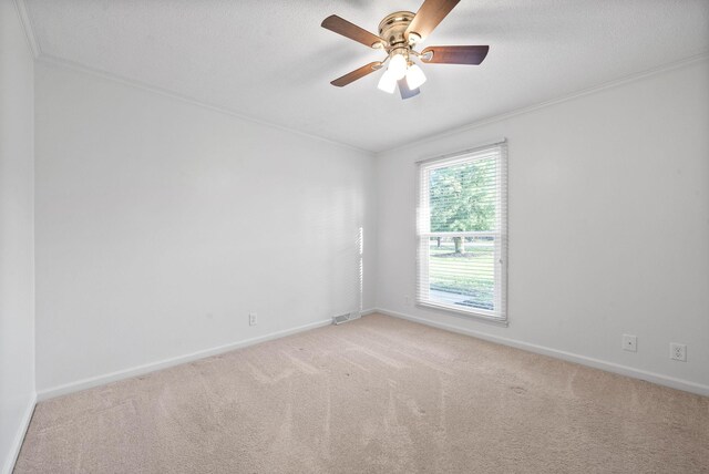 414 Fabian Pl, Clarksville, TN 37043 - photo 16