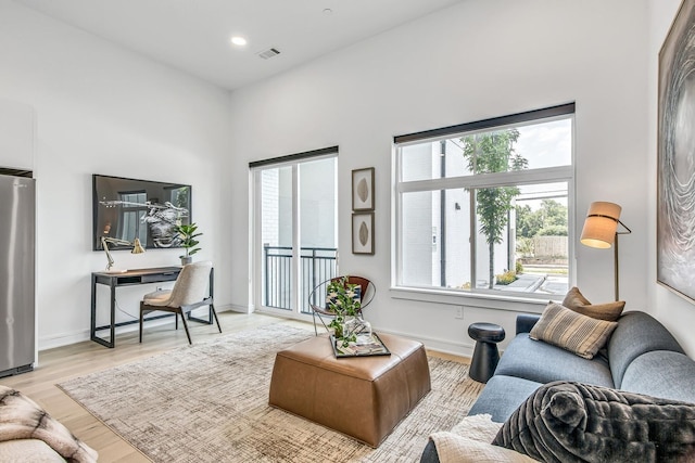 living room featuring light hardwood / wood-style flooring