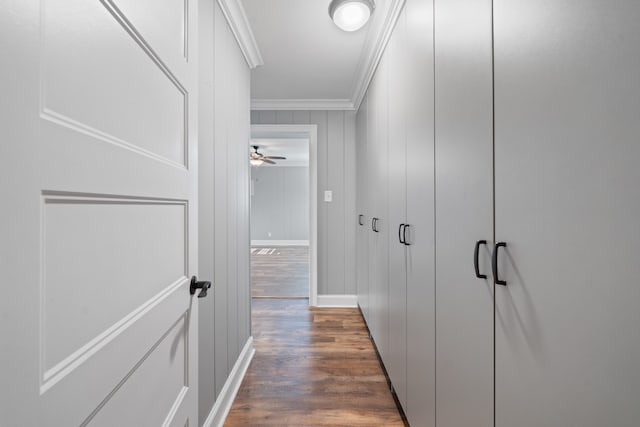 hallway with crown molding and dark hardwood / wood-style floors