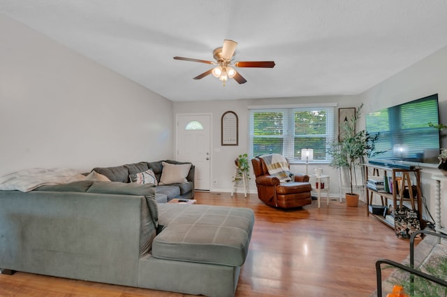 living room with wood-type flooring and ceiling fan