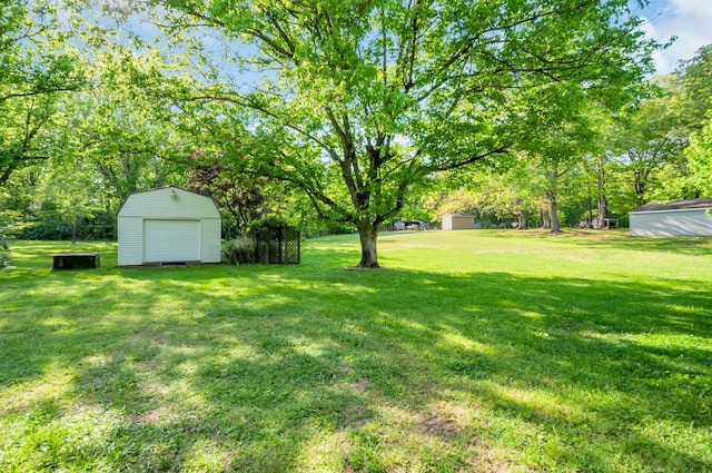 view of yard with a storage shed