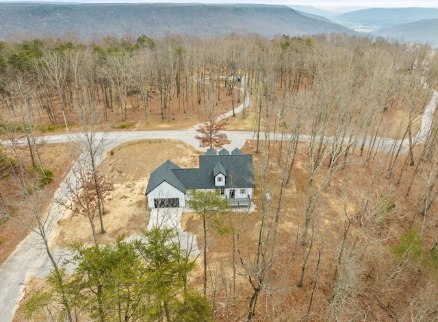 birds eye view of property featuring a mountain view