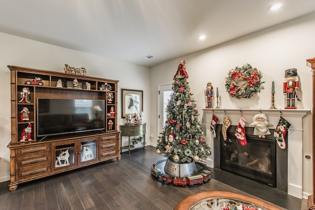 living room with hardwood / wood-style flooring