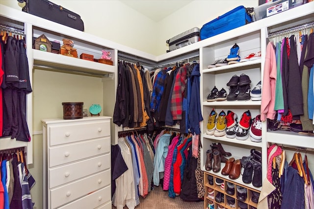 view of spacious closet