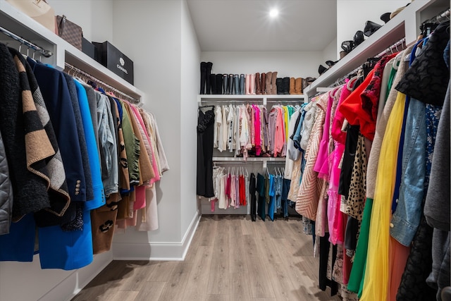 spacious closet with hardwood / wood-style flooring