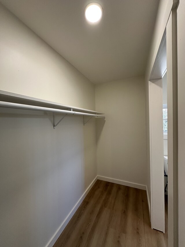 walk in closet featuring dark hardwood / wood-style floors