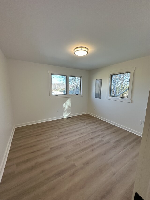 spare room with hardwood / wood-style flooring and a wealth of natural light