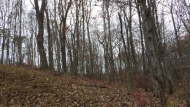 0 Cumberland Cove Rd, Monterey, TN 38574 - photo 6
