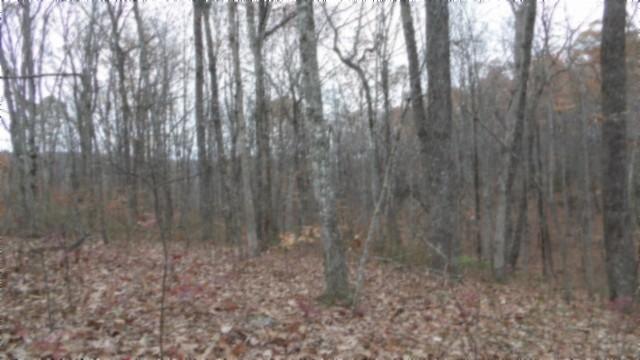 0 Cumberland Cove Rd, Monterey, TN 38574 - photo 12
