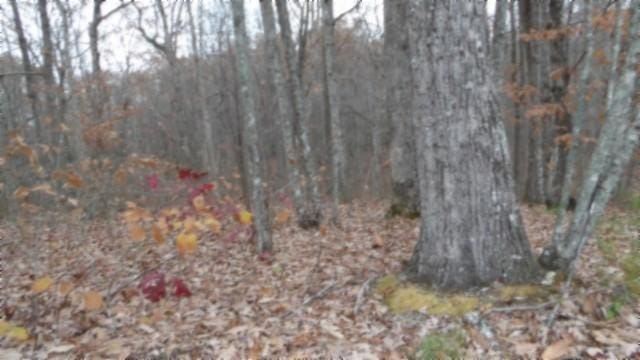 0 Cumberland Cove Rd, Monterey, TN 38574 - photo 8