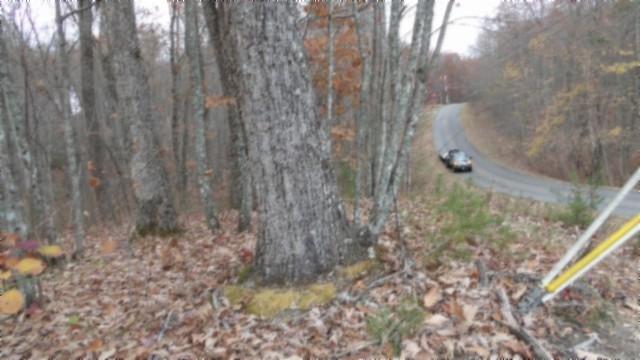 0 Cumberland Cove Rd, Monterey, TN 38574 - photo 18