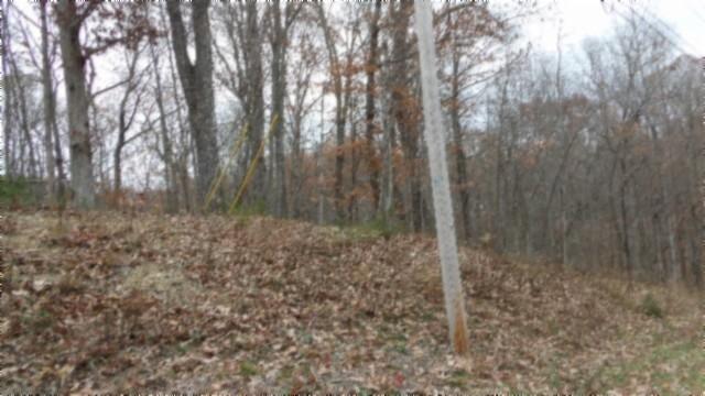 0 Cumberland Cove Rd, Monterey, TN 38574 - photo 14