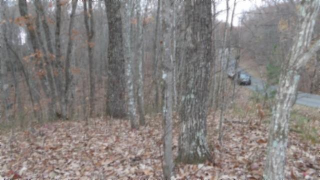 0 Cumberland Cove Rd, Monterey, TN 38574 - photo 16