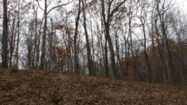 0 Cumberland Cove Rd, Monterey, TN 38574 - photo 2