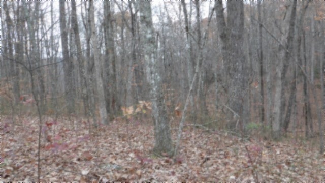 0 Cumberland Cove Rd, Monterey TN, 38574 land for sale