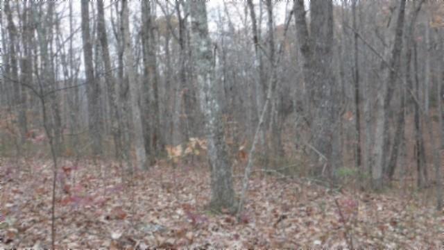 0 Cumberland Cove Rd, Monterey, TN 38574 - photo 1
