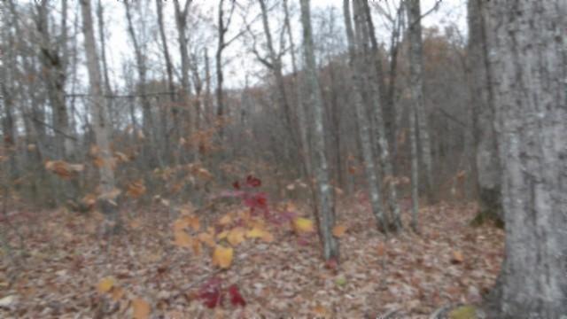 0 Cumberland Cove Rd, Monterey, TN 38574 - photo 9