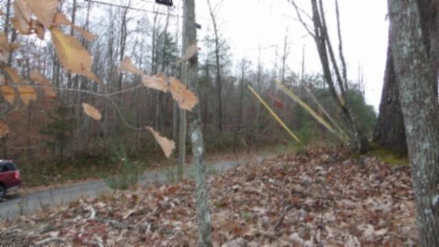 0 Cumberland Cove Rd, Monterey, TN 38574 - photo 17