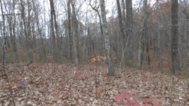 0 Cumberland Cove Rd, Monterey, TN 38574 - photo 11