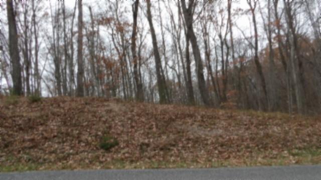 0 Cumberland Cove Rd, Monterey, TN 38574 - photo 3