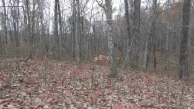 0 Cumberland Cove Rd, Monterey, TN 38574 - photo 13