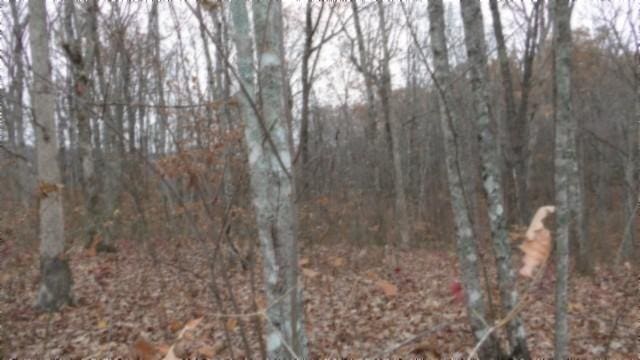 0 Cumberland Cove Rd, Monterey, TN 38574 - photo 10