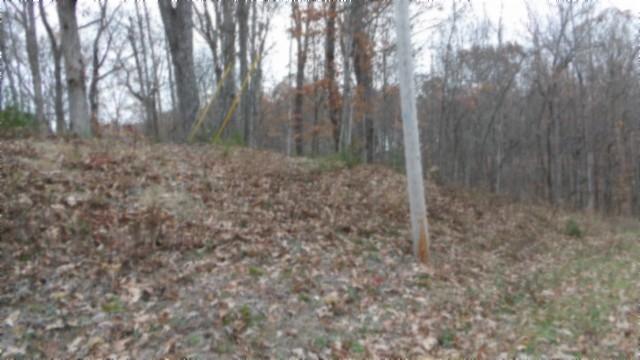 0 Cumberland Cove Rd, Monterey, TN 38574 - photo 7