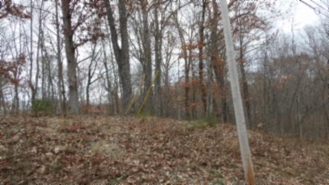 0 Cumberland Cove Rd, Monterey, TN 38574 - photo 15