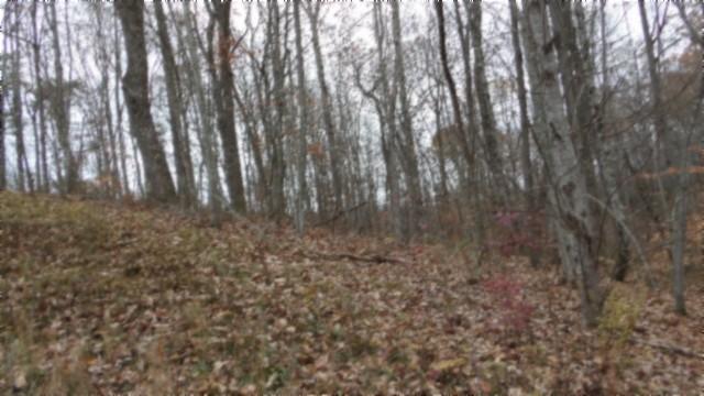 0 Cumberland Cove Rd, Monterey, TN 38574 - photo 5