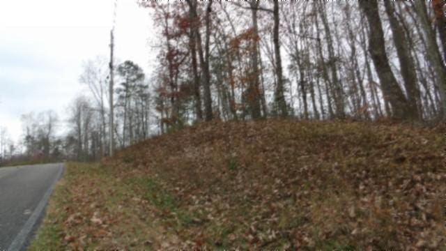 0 Cumberland Cove Rd, Monterey, TN 38574 - photo 4