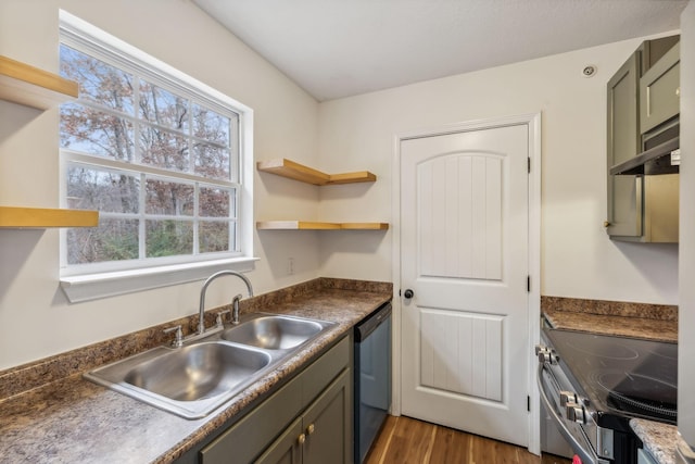 kitchen with dark hardwood / wood-style flooring, sink, and stainless steel appliances